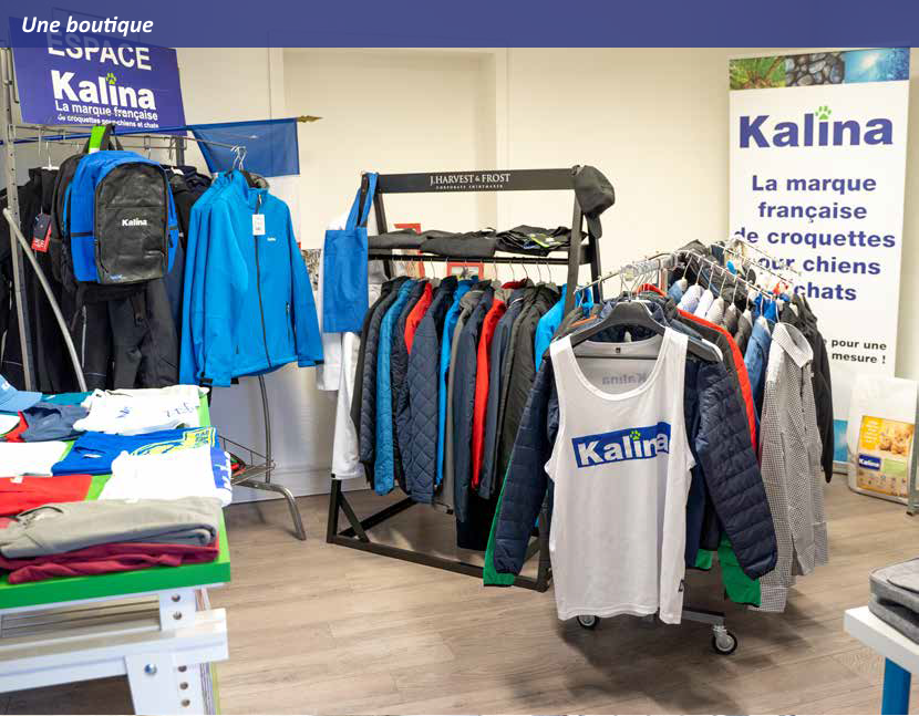 kalina-revendeur-marketing