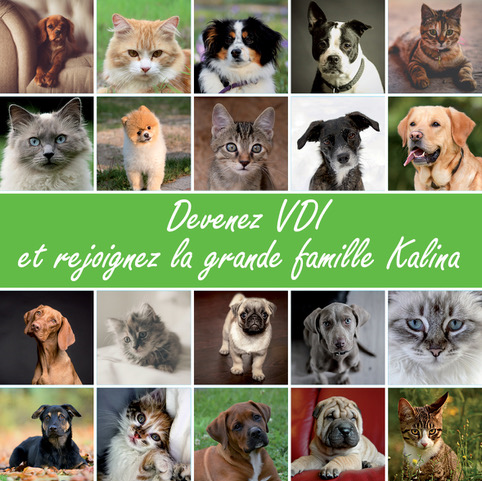 visuel_kalina_grille_chiens_vdi